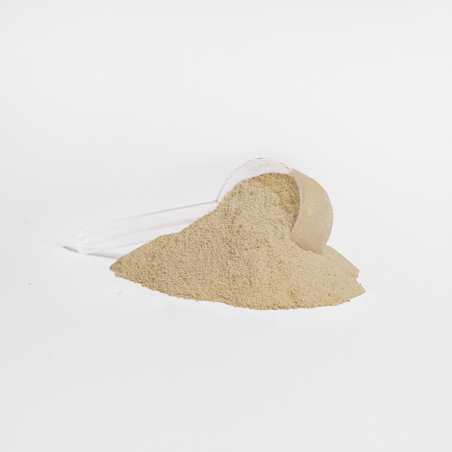 Plant Protein Vanilla