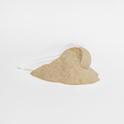 Plant Protein Vanilla